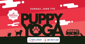 Goat Yoga (11)
